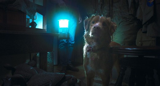 GOOD BOY／グッド・ボーイ：映画作品情報・あらすじ・評価｜MOVIE WALKER PRESS 映画