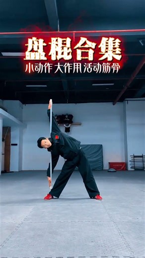 Unlock Martial Art Mastery: Quick & Efficient - Pan's Traditional Techniques