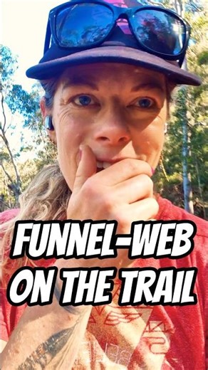 Massive Funnel-Web spider on my trail run in Sydney