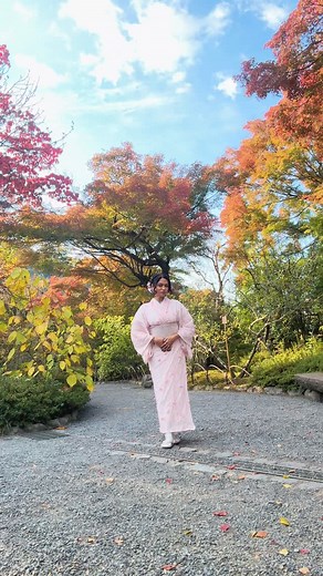 Kyoto was soooo dreamyyy🥹🌳🌸🎋 And although I could barely breathe in this kimono, loved every bit of dressing up, feeling cute and roaming around the whole town like a Japanese doll🥰 #kyoto #japan #kimono #arashiyama #travel #touristthings #sonalibhadauria #livetodance #livetodancewithsonali #explore #fyp #instagram | Sonali Bhadauria - Live To Dance