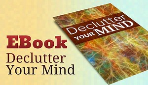 PLR Reports & eBooks - Declutter Your Mind - PLR.me