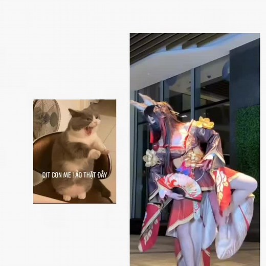 Cosplay Inspirations from Honkai Star Rail