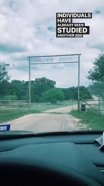 #FreemanRanch #BodyFarm #SanMarcos #Texas . Human remains in varying states of decay are strewn about this #TexasState facility for #scientificstudy The Forensic Anthropology Research Facility (#FARF) is a 26-acre outdoor human decomposition research lab at #TexasStateUniversity’s FreemanRanch. It is currently home to about 50 donated bodies. Some of the cadavers are confined in cages to be studied for bacterial decomposition. Others lay unprotected in the scalding sun so #researchers can track 