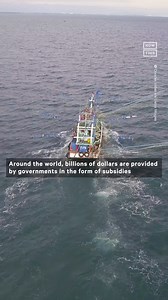 62K views · 50 reactions | New reports from Oceana have revealed that China is illegally fishing in other countries’ waters — here’s why this matters with Oceana | NowThis Earth | Facebook