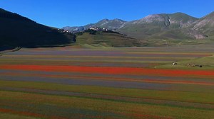 Drone footage shows Italy’s spectacular flowers bloom