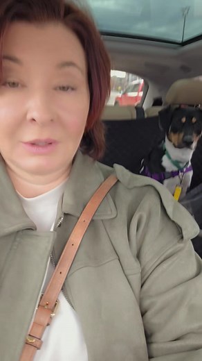 Ricky's day out-the beginning 😁. Rick is available for adoption through 4 Luv of Dog Rescue . Today we spent 3.5 hours together, having fun and doing some training. Rick is a super fun, curious, active dog. If you are looking for a jogging buddy- look no more! #adoptdontshop #trainingmydog #dogbehavior #packlegends #puppygram #pupcupstarbucks | Pack Legends