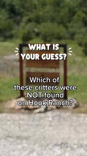 Can you solve the Hook Ranch mystery? Which two critters were NOT found on the family compound? Drop your answer in the comments, and we’ll post the answer there too! #familycompound #hookranch | Hook Ranch
