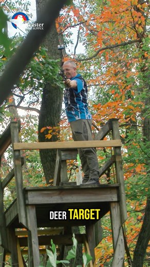 Darton’s all-new TriTech is here for 2026 — featuring their Perfect Tuning system, an upgraded cable timing system, and a new micro-adjust roller guard for fine-tuning vane clearance and cam torque — all with no bow press#bowhunting Full overview: https://bit.ly/LAS_DartonTritech_YT Randy Kits from Darton breaks down what’s new and improved, while P.J. puts the TriTech to the test — from setup to first shots. Watch the full video now on the Lancaster Archery YouTube channel! #lancasterarchery #d