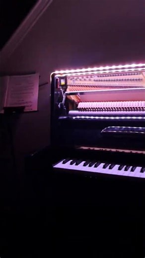 Did I do it right? #loop #perfectloop #viral #shorts #fyp #fypシ゚viral