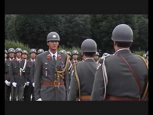 Official Parade in Vienna