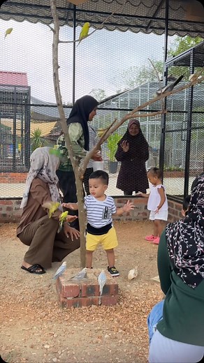 Jemput datang ke Mini Zoo kami.. Waktu Operasi: 9.30 pagi – 6.00 petang Harga Tiket: • Dewasa: RM18 • Kanak-kanak & Warga Emas: RM15 • OKU: RM13 • Bawah 2 Tahun: Percuma! Lokasi boleh waze The Wanz Animal Park Sg Limau Baling Kedah.. | The Wanz Animal Park