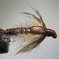Tying a Slate Drake Nymph | MidCurrent