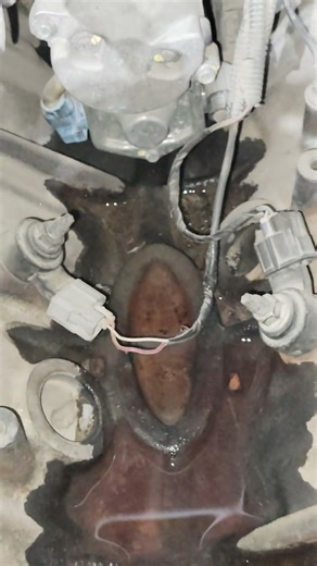 Toyota Landcruiser v8 engine knock sensor location 📍 #toyota #landcruiser ‪@Ashadautorepairs‬ #car