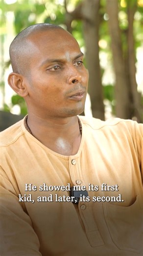 Sadhguru gave me a Goat! #Sadhguru #isha #guru #GOAT | Humans of Isha