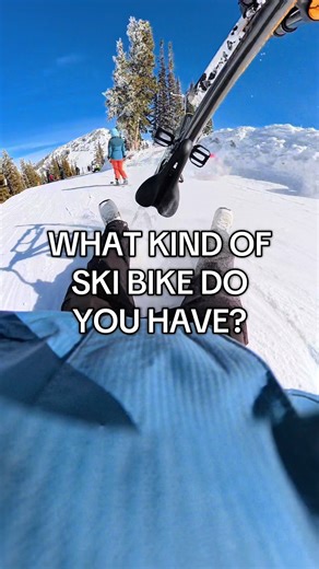 What kind of SKI BIKE did I get?? | ski bike