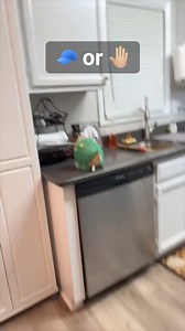 Plushie Explosion 🤯 | Cap or Slap