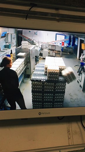 Danish Farmer Life: A Glimpse into Farming in Denmark