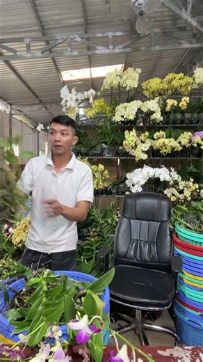 (Tham Khảo Mặt Hoa ) Hotline:090.317.7978 ☎️☎️
