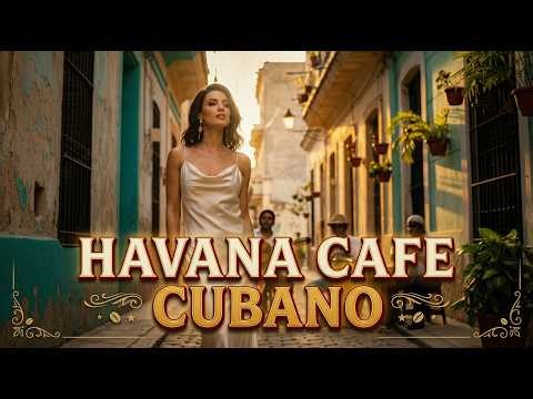 Tropical Cuban Beats 🌴 Cha-Cha, Mambo & Salsa | Cuban Café Groove