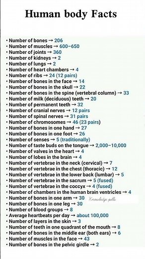 Human Body Facts You Must Know | Amazing Human Body Numbers 🧠💀 #knowledgepills