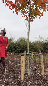 2.8K views · 111 reactions |  Classic Elegance Meets Timeless Style...