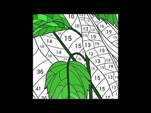 Happy Color App: Flowers - MULLY’S PLACE