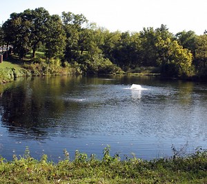 POND AND LAKE MANAGEMENT SERVICES — Midwest Lake