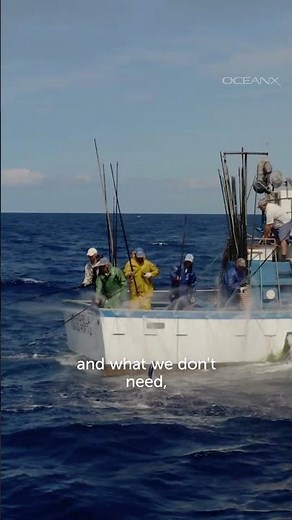 Pole and Line Fishing