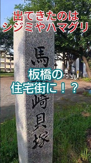 住宅地の下に消えかけた貝塚…発掘隊が守った“東京の海の記憶” 板橋・馬場崎貝塚の真実