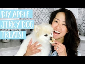 EASY Apple Jerky DIY dog treats // homemade dog treat recipe
