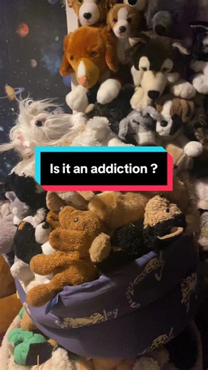 Not even all of my plush #dogcollection #douglascuddletoys #douglasdog #plushdogssofttiktok #plushdog