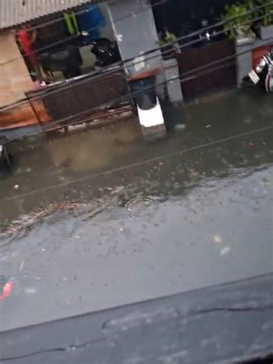 Waspada! Penemuan Ular Besar di Pamogan