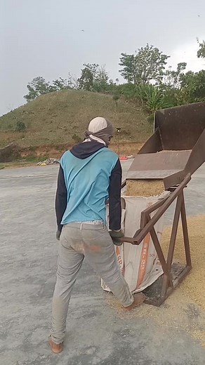 443K views · 1.2K reactions | Pengisian gabah kering kedalam karung. . . . . #PengisiGabah #AlatPertanian #PetaniKonten | LaLu Ismail | Facebook