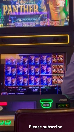 Player Won Big on Shadow Panther Slot Machine