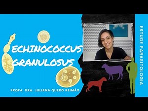 Aula sobre Echinococcus granulosus (Hidatidose e Equinococose)