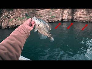 Find LOADS Of Crappie On BLUFF WALLS In The FALL!