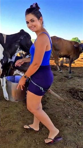 Cow Milking in the Afternoon 🐄☀️ #youtubeshorts#villagelife#cow #farming#farmlife#farmstory#foryou