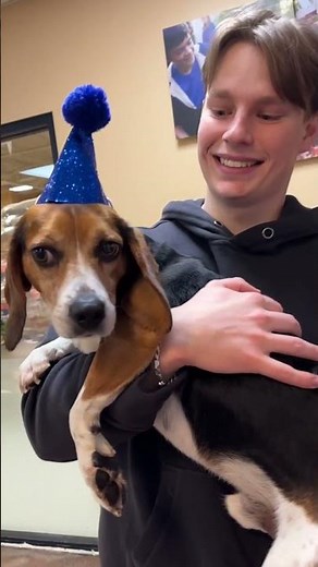 Throwing a Party for Adoptable Dogs at a PetSmart Everyday Adoption Center With ‪@EricandJoeym‬