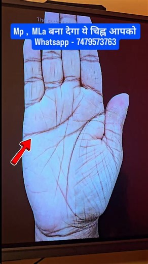 #palmistry #astrology #palmreading #handanalysis #fortune #fortunetelling #tarotreading #divination #spirituality #fate #handreading #intuition #futurepredctions #occult #metaphysical #pyschictarot #chiro #chironology #viral #viralshorts | Astro Amanji