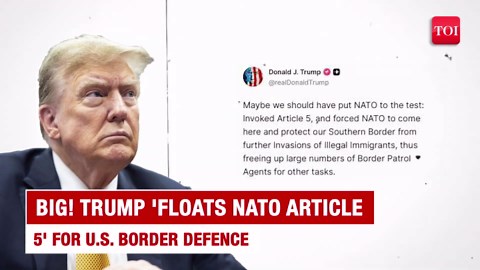 ‘Would NATO fight?’: Trump fires unthinkable salvo, hints at invoking Article 5 for US border crisis