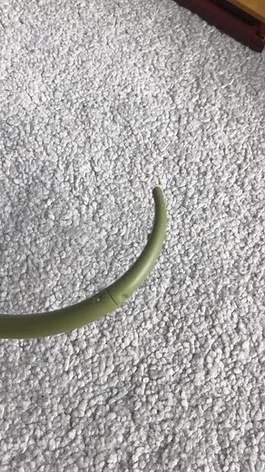 IM SORRY FOR THIS 😭💀 #lego #hulk #basilisk #_eggs