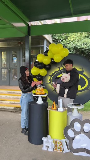 Horus tiene una familia y amigos que lo aman ❤️ Y el fue muy feliz en su cumpleños 1 🫶🫶 . . . . #perros #perritostiktokers #travelinfluencersmx #concepciondechile #perritostiktok #perroschile #bully #cumpleaños #perritosinfluencer #americanbullylover #perrosgraciosos #perrostiktokers #perrostiktok