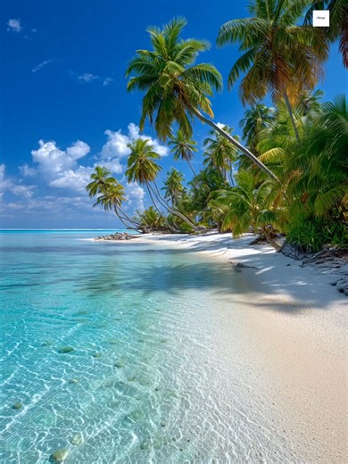 Ocean Pause – One Quiet Minute Immagini generate con l’intelligenza artificiale Montaggio e audio realizzati con software dedicati Hashtag: pausaoceanica #relaxvideo #calma #oceanvibes #Monap Note sui diritti: Tutti i contenuti sono utilizzati nel rispetto delle licenze delle rispettive piattaforme. Vietata la ripubblicazione o il riutilizzo senza autorizzazione.