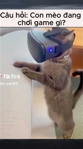 Trả lời câu hỏi:...?#memes
