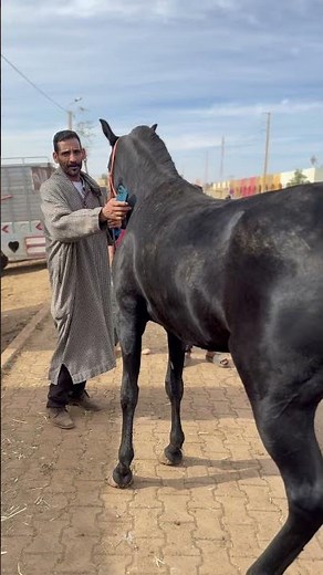 تباركً الله جدعة سنان الحليب بالوريقات بيدكري 💯