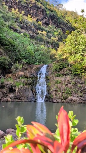 59K views · 1.1K reactions | This one is for the waterfall lovers. Definitely a must see when visiting Oahu. #hawaii #oahu #waterfall | MakaiClicks | Facebook