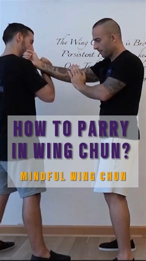 How to parry in Wing Chun? This is a snippet of our online school... #ipmanwingchun #kungfulife #wingchunkungfu #selfdefense #wingchun #parry #kungfu #sifu #wingtsun #mindfulwingchun #kungfulifestyle #facebookviral #facebookpageviral #FacebookReelsContent #learnonline #learnathome #onlineschool #kampfsport #martialarts #ipman #vingtsun #selfdefencetraining | Mindful Wing Chun Online