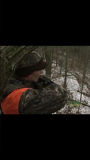 The Hunt of a Lifetime! #speakthelanguage #deerhunting #hunting #whitetailhunting