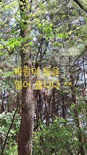 2026년 4월 28일