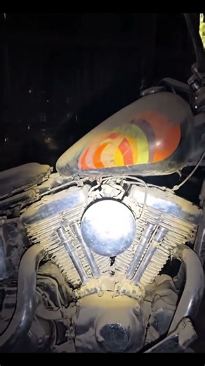 Discovering Dusty 1970s Harley-Davidson Chopper #HarleyDavidson#Chopper #BarnFind#VintageMotorcycle